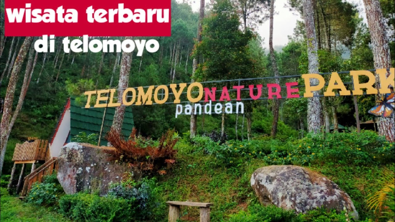 Telomoyo Nature Park: Destinasi Menakjubkan di Jawa Tengah